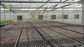 Промышленные теплицы под заказ из Китая