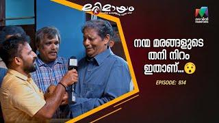 നന്മ മരങ്ങളുടെ തനി നിറം ഇതാണ്... #marimayam  #epi814