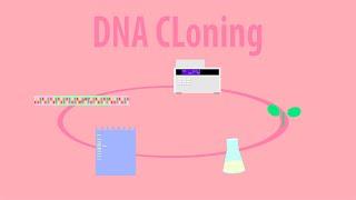 DNA Cloning - Animation of Cloning GFP into a Plant Introduction HD