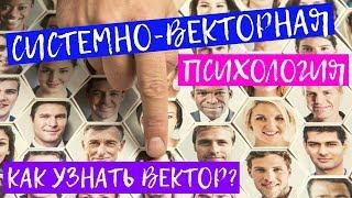 Все векторы в СВП (системно-векторной психологии). Что это и как определить свой вектор