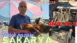 18.08.2024 Sakarya tavuk pazarı part 2