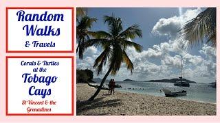 A trip from Palm Island Resort to the Tobago Cays National Park.