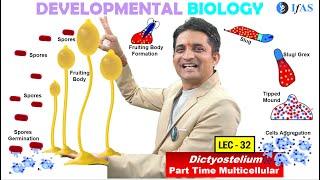 CSIR NET JUNE 2025 I Developmental Biology I Lecture 32I  Dictyostelium Part Time Multicellular IFAS