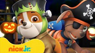 PAW Patrol Rubble & Zuma Celebrate Halloween!  10 Minutes | Nick Jr.