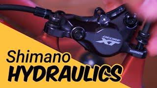 How to Install Shimano XT Hydraulic Disc Brakes on MTB