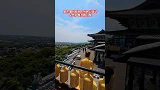 제주도 가면 가볼 뷰가 끝내주는 산방산  보문사