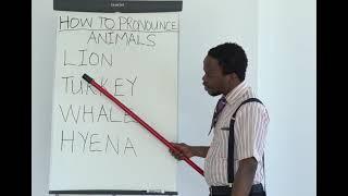 How to pronounce Animals