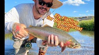 Fly Fishing Streamers for BIG Cutthroat Trout!