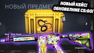 ОТКРЫЛ 20 НОВЫХ SNAKEBITE CASE В КС ГО! НОВОЕ ОБНОВЛЕНИЕ CS:GO 04.05.2021! ВЫБИЛ НОВЫЙ АК-47 за...?!