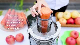 MIXTEC Hot selling High Performance Juicer for Commercial Use MS-86J