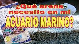 LA ARENA PARA TU ACUARIO MARINO PARTE 1