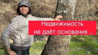 Как получить ВНЖ в Болгарии? Фирму открывать надо? Правила для граждан ЕС?