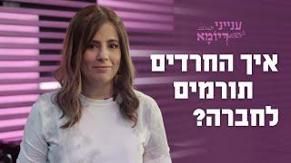 איך החרדים תורמים לחברה הישראלית?