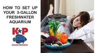 How to Set Up Your 3-Gallon FRESHWATER AQUARIUM