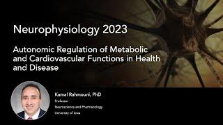 Autonomic Regulation of Metabolic and Cardiovascular Functions in Health and Disease