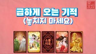 [타로/타로점]빠르고 급하게 찾아 올 기적은??