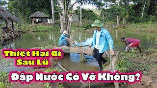 Quang cảnh Sau lũ của trang trại 2Q || 2Q Vlogs Cuộc Sống Châu Phi