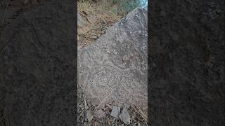 Ancient Southwestern Rock Art - So Old The Images Have Almost Vanished