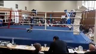 Sparring Speyer / Boxsportverein Olympia Nürnberg