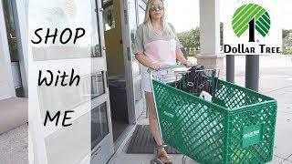 Dollar Tree Shop With Me| SO Many NEW Seasonal Finds!| Megan Navarro