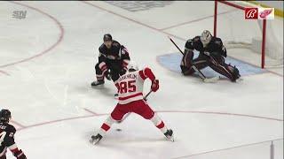 Elmer Soderblom Highlights (First 21 NHL Games)