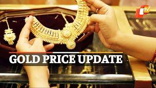 Gold Price | Check Latest Updates From Market | OTV News