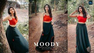 Moody Preset l photoshop presets free download l Camera Raw Xmp l photoshop tutorial