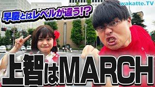 【もうやめて】「早慶上智」と言うな！MARCHレベルだろ！上智が早慶と並んでると思ってないか検証！【wakatte TV】#923