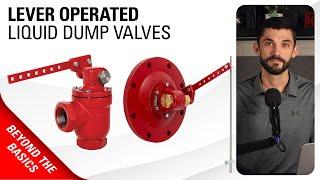 Liquid Dump Valves, Trunnions & Floats (Lever Operated) | Kimray Beyond the Basics Training