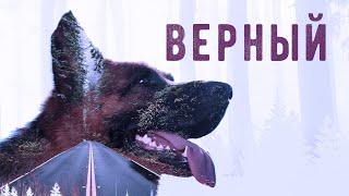 Верный