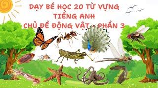 Phần3  Dạy bé học 20  từ vựng tiếng anh về động vật