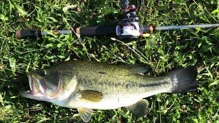 Mepps Aglia - One Of My Top 5 Best Pond Bass Fishing Baits