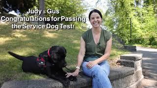 Judy & Gus Ace the Service dog Test