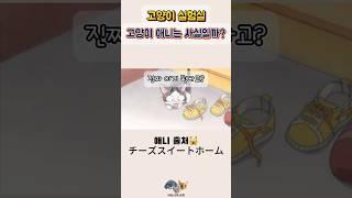 고양이 애니메이션 이거 사실이냥?  #cat #고양이일상 #catshorts