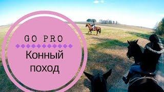 Конный поход с собакой в Беларуси весной / Horse trekking with a dog in Belarus in spring