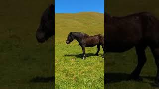 Salita al Bivacco Corradini e alla cima Dormillouse!