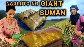 Ep.502- GIANT SUMAN SA BUKID | NAGANI NG PALAY | buhay probinsya