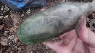 Bottle Digging at MASSIVE DUMP site in UK - 20ft Deep Tip - Beers Inks Torpedo Bottles