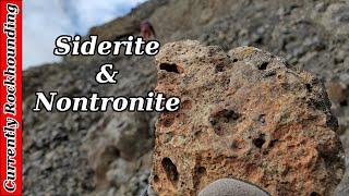 Spokane Rocks: Amber Lake Spherical Siderite & Nontronite