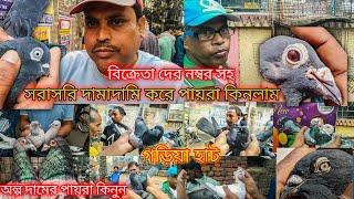 Kolkata Cheapest Pet Market of Garia  Live Bargaining ll Monday & Friday 12Pm-5pm