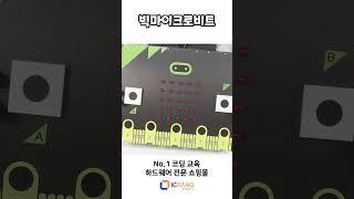 60배 크기의 마이크로비트가 있다구?