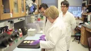 University of Pennsylvania Alzheimer's Disease Core Center Virtual Tour