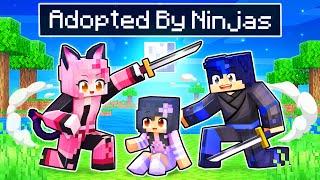 Adopted By NINJAS In Minecraft!