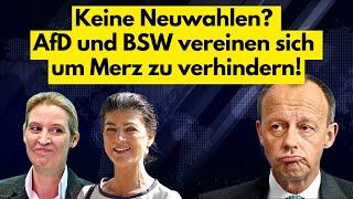 KEINE NEUWAHLEN im Februar! AfD & BSW vereinen sich um SCHOLZ zu stützen und MERZ ZU VERHINDERN!