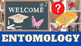 Introduction to Insects & Entomology: Why are they important? Bug School  Entomology Course