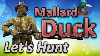 Let's Hunt DUCKS - theHunter Classic
