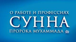 О значении любых профессий и работы. Сунна пророка Мухаммада ﷺ