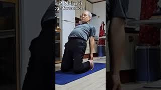 노년 취미요가 ( 335 ) #yoga for seniors #shorts