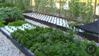 Introduction to the AES Aquaponics System