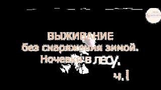 #1 ВЫЖИВАНИЕ без снаряжения зимой.Ночевка в лесу.Bushcraft